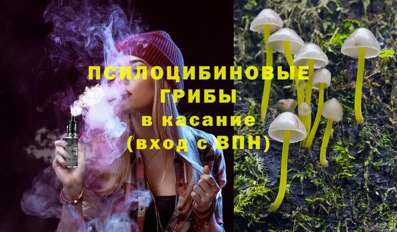 купить наркоту  Андреаполь  Галлюциногенные грибы Magic Shrooms 